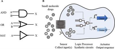 Synthetic Biology Speeds Up Drug Target Discovery